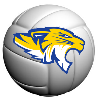 Fremship volleyball logo